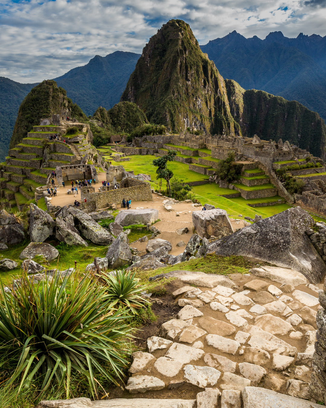 Image 12